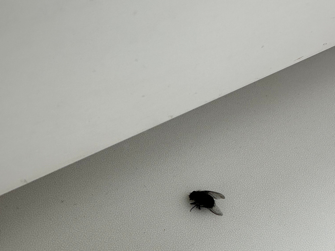 Chayka Resort Hotel主图