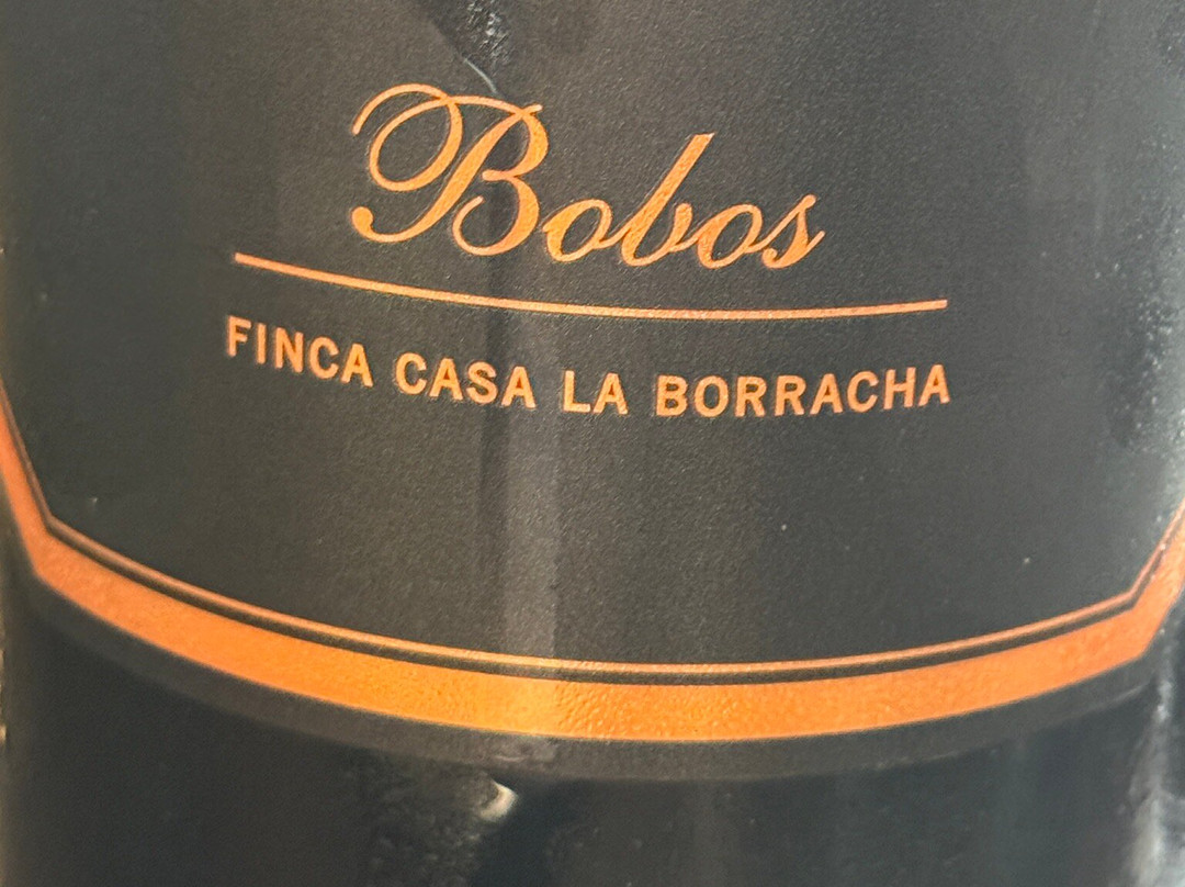 Jenkin's - Blasco Ibáñez