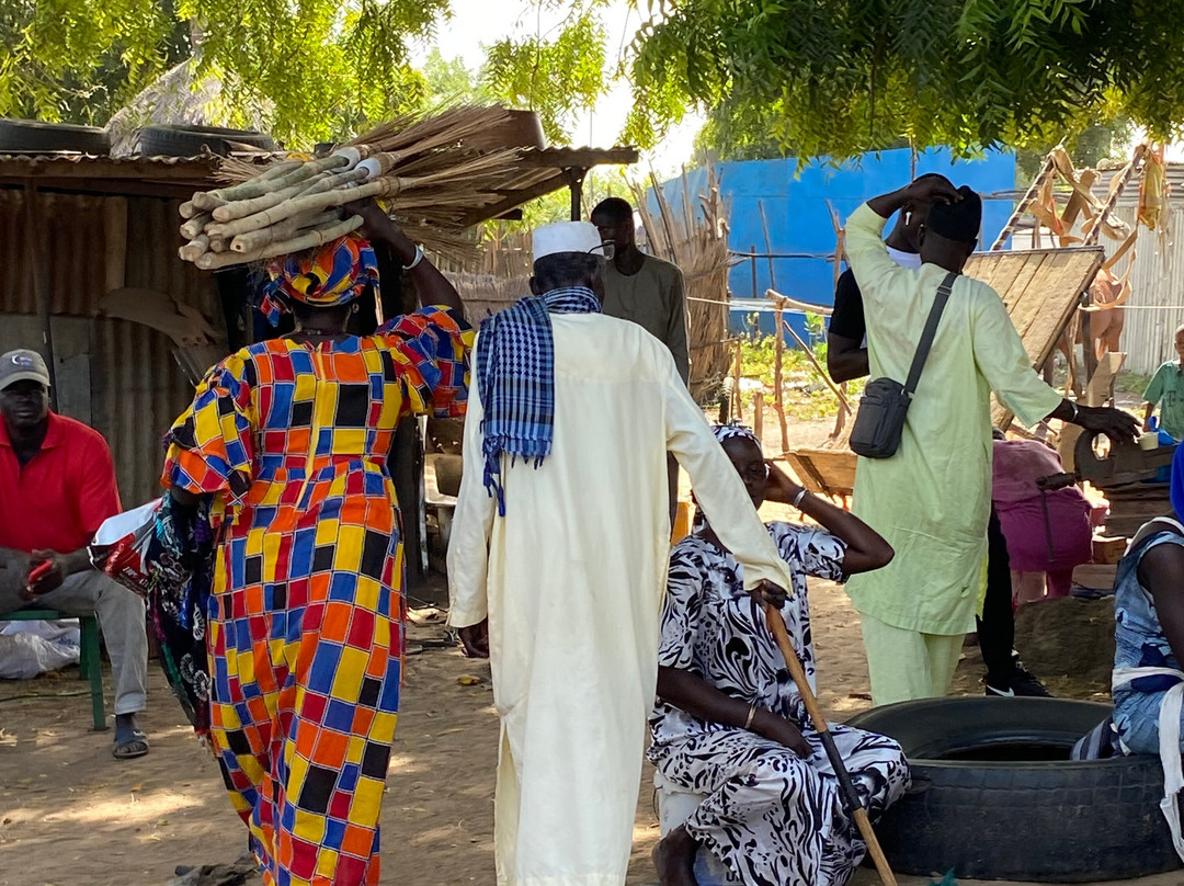 Senegal Voyage景点图片