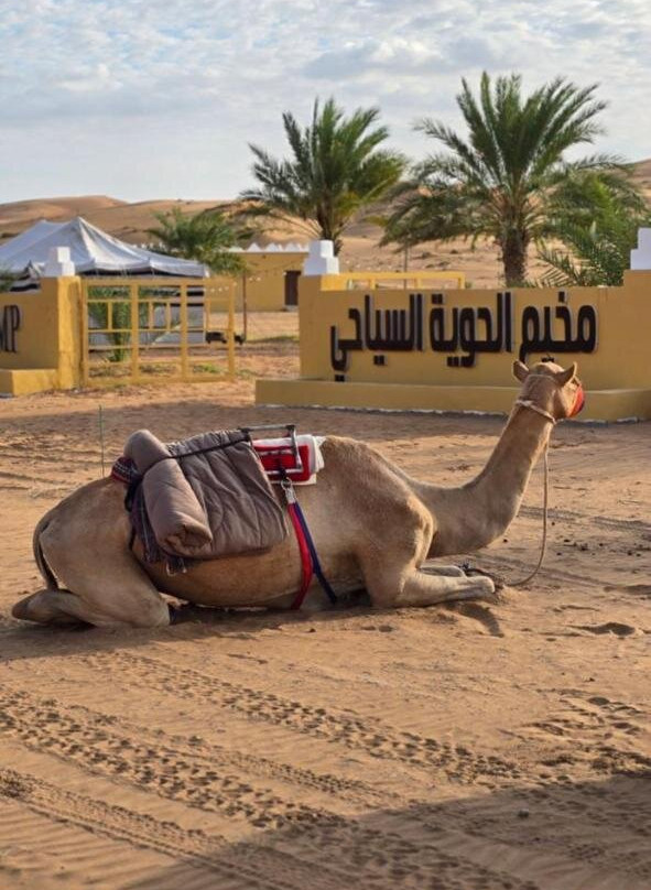Al Wasil旅游攻略图片