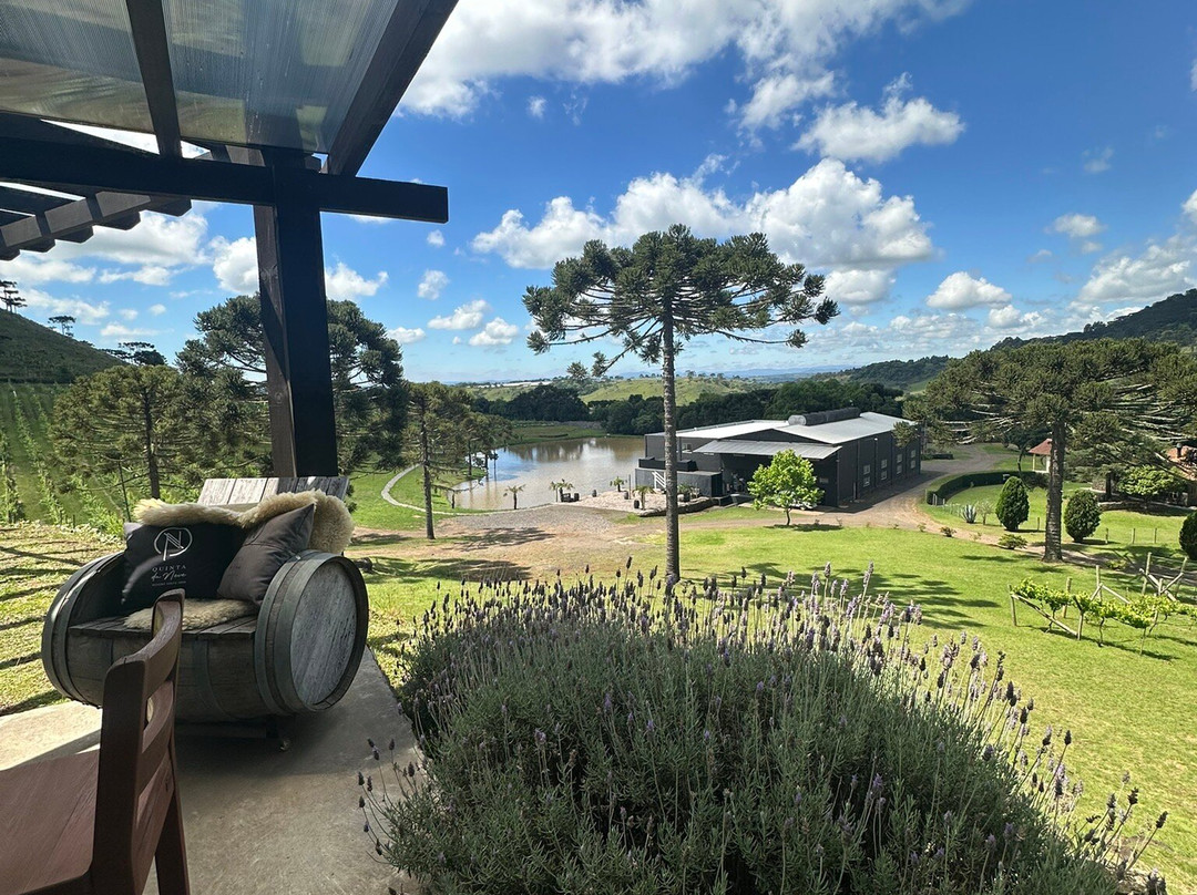 Vinicola Quinta Da Neve景点图片