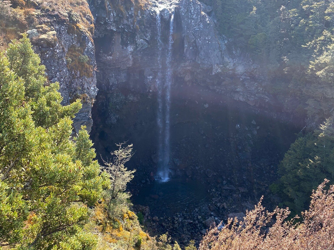 Waitonga Falls Track景点图片