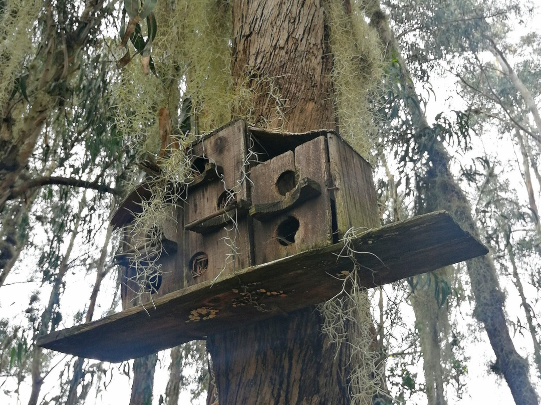 Casa De Los Fundadores主图