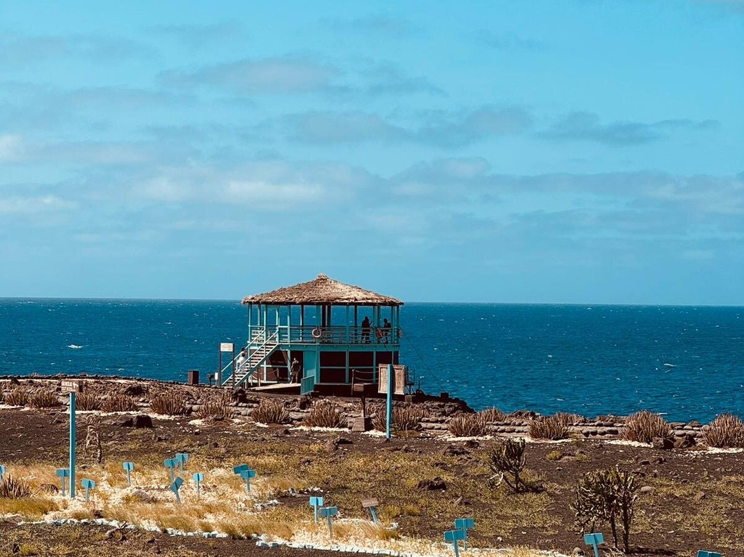 Taxi Transfer-Espargos必去景点