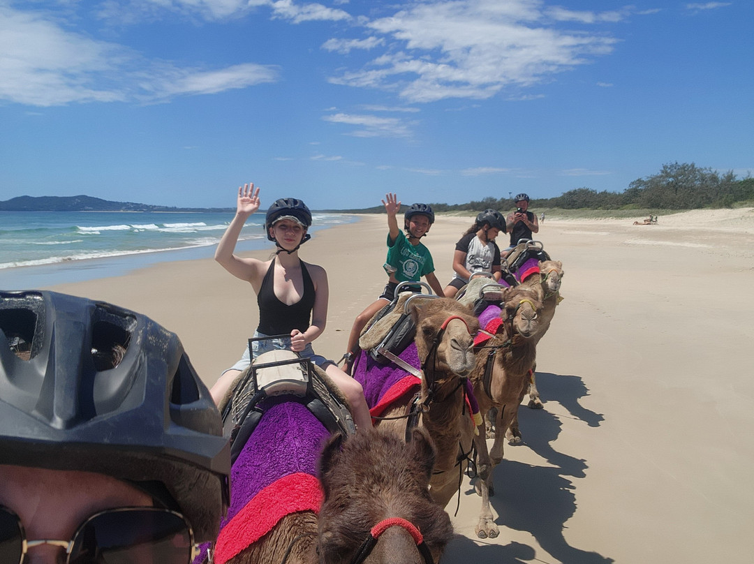 Camelot Camels & Noosa Camel Rides景点图片
