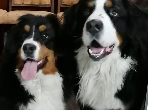 Kata vendeghaz主图