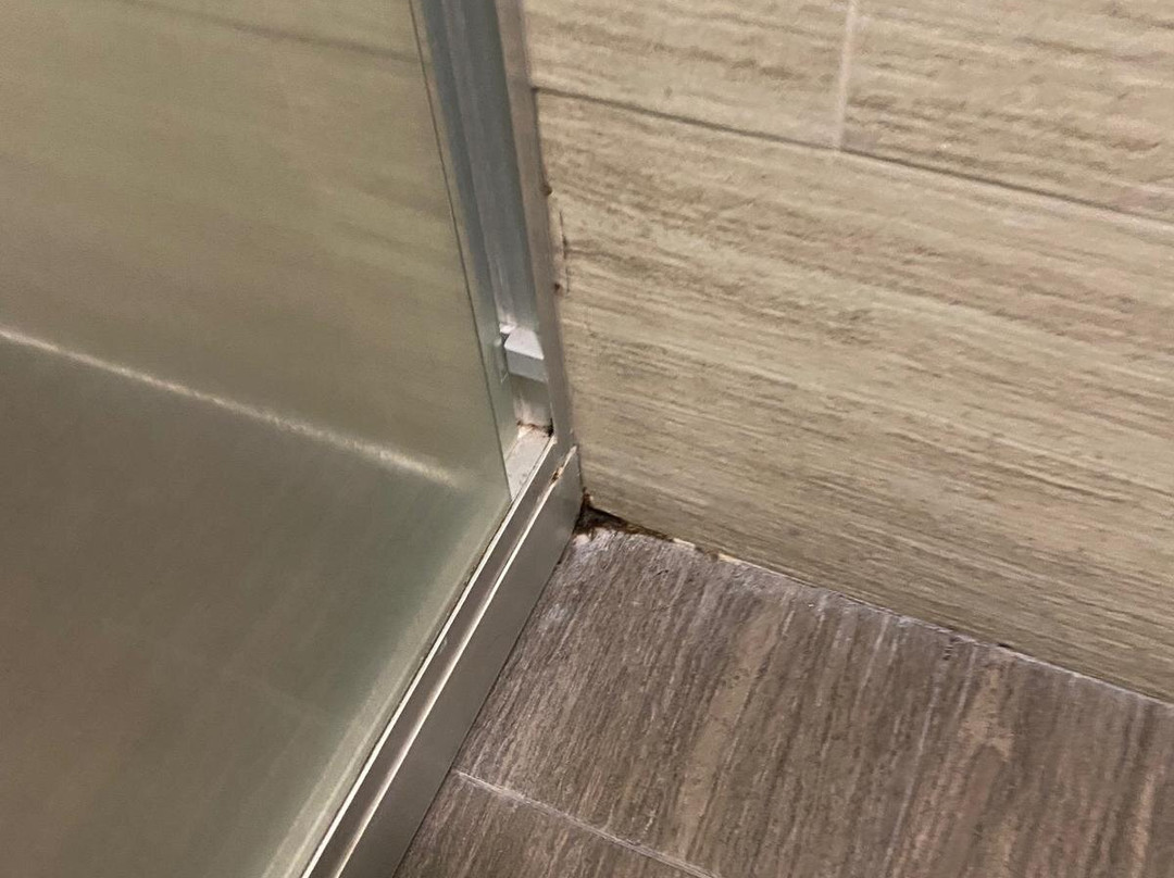 Hampton Inn by Hilton Leon Guanajuato主图