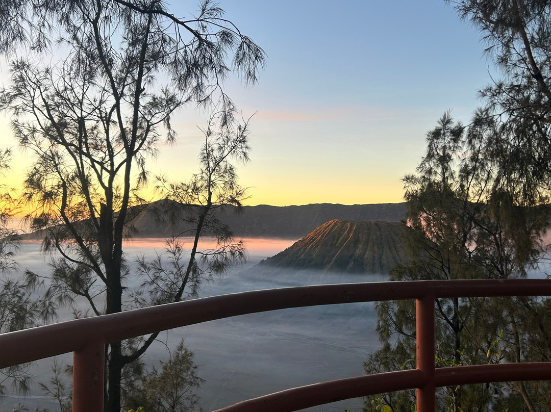 Safarimate Tour-泗水必去景点