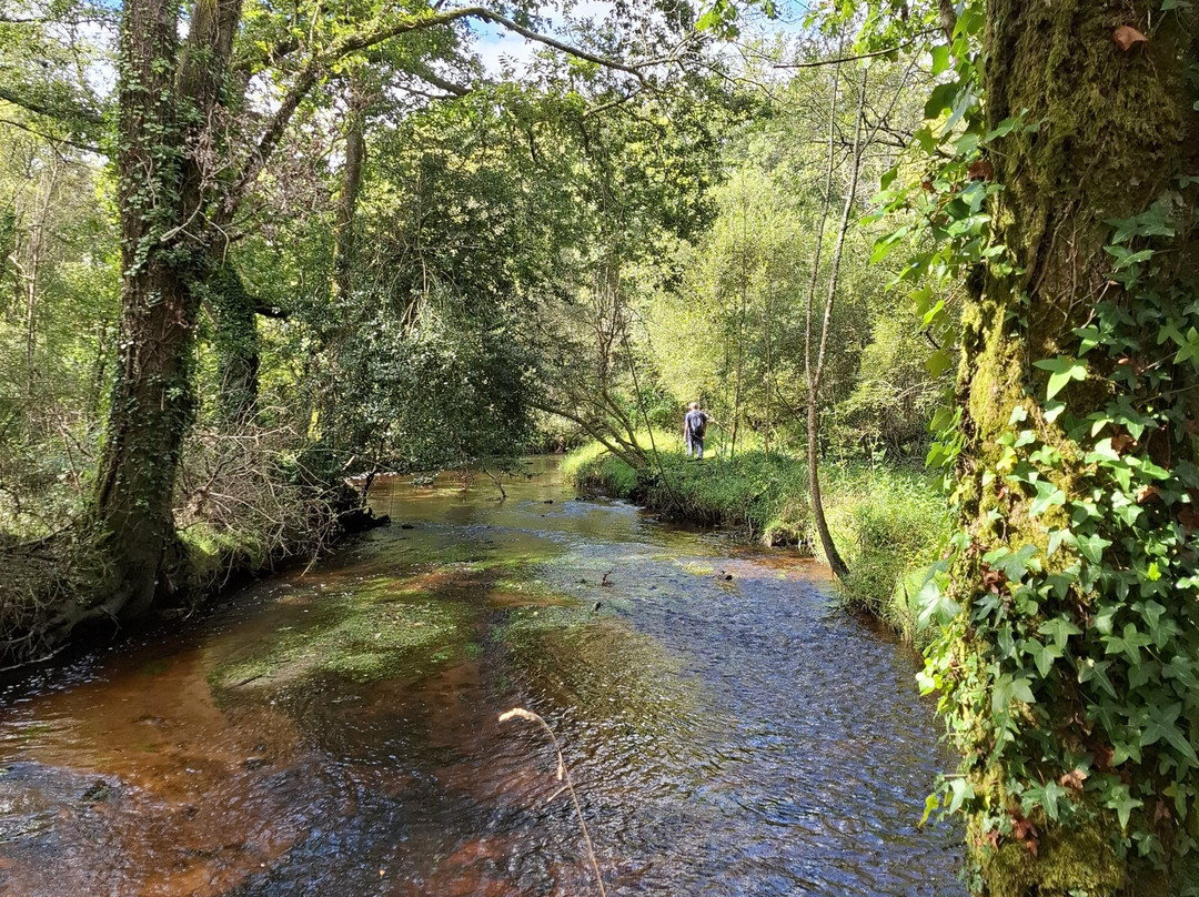 Promenades Et Randonnées À Nostang-Nostang必去景点