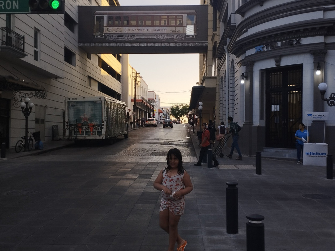 Plaza de Armas-坦皮科必去景点