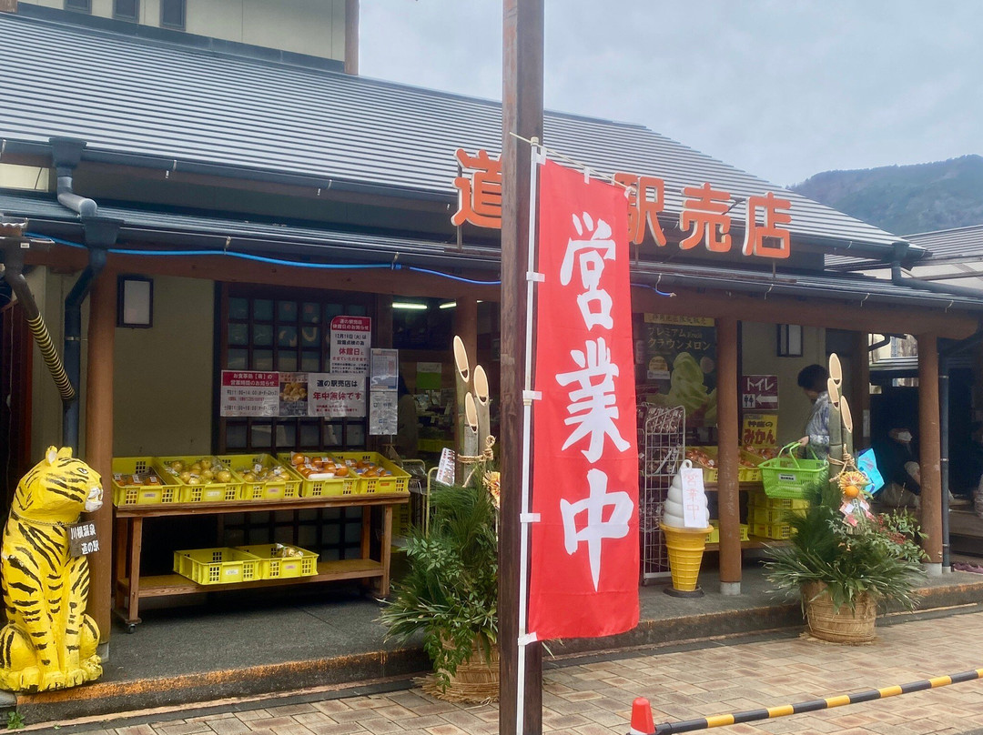 Michi-no-Eki Kawane Onsen景点图片