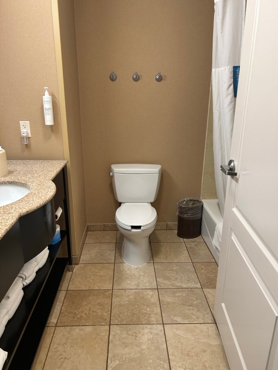 Hampton Inn Kingston-浴室