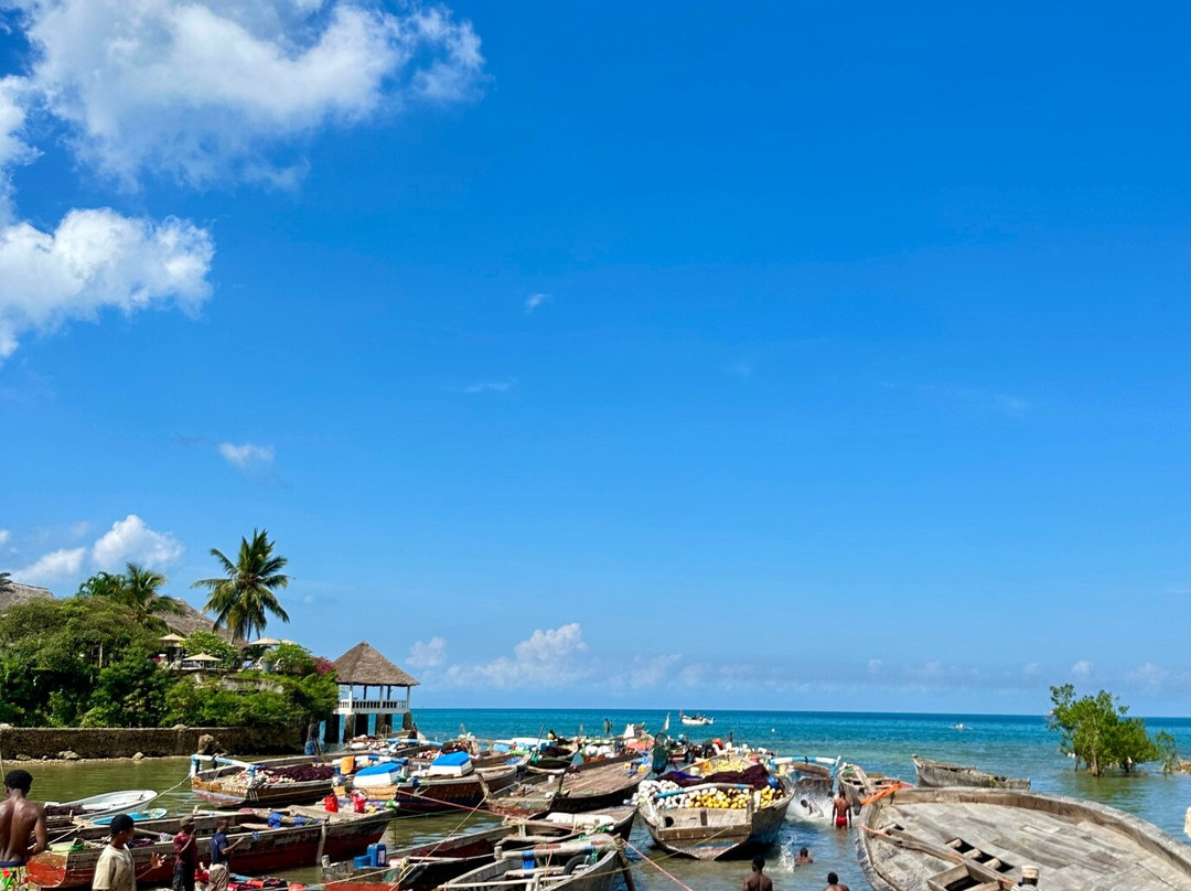 Mangrove Lodge主图