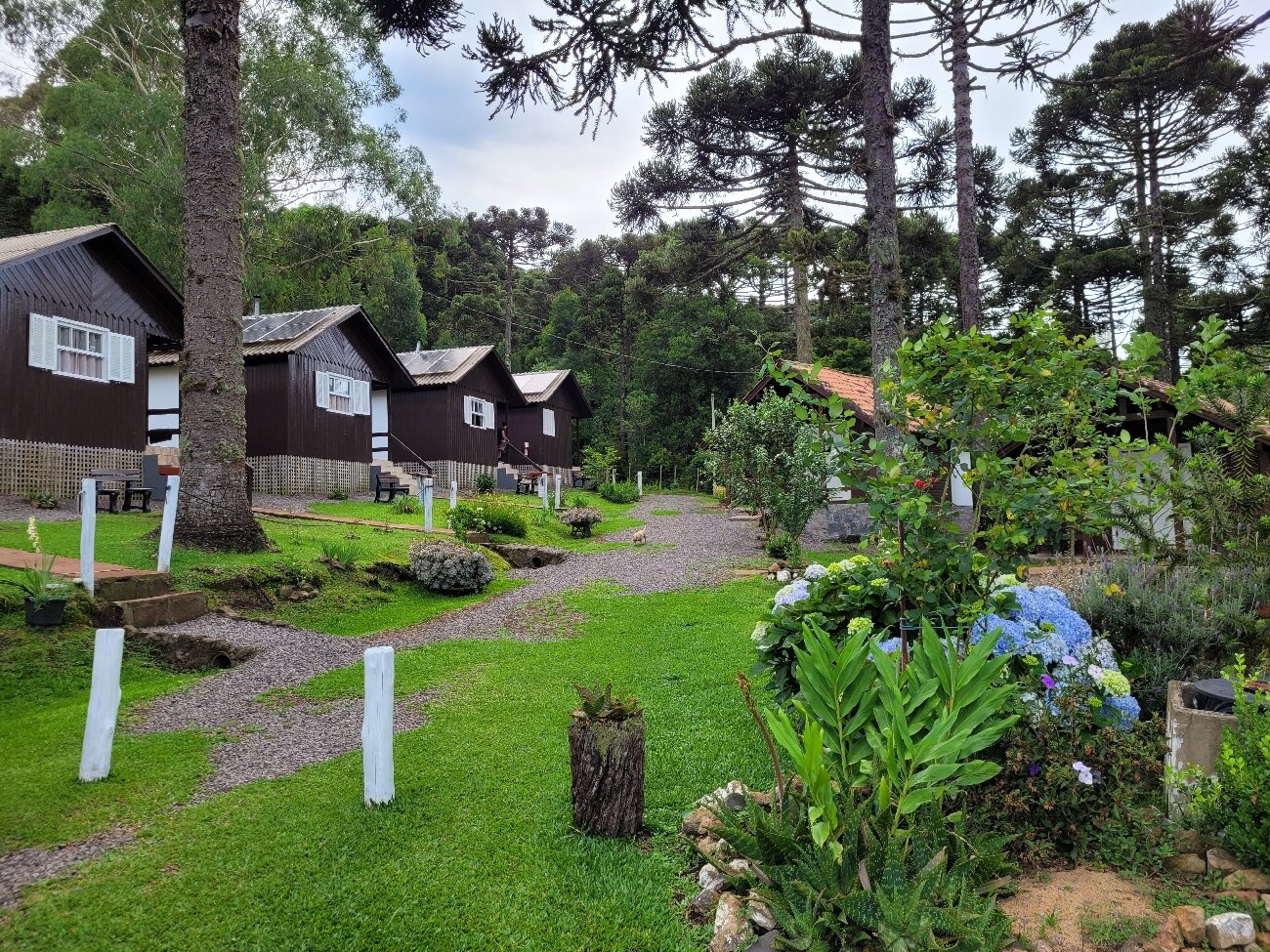 Pousada Cardoso-官方