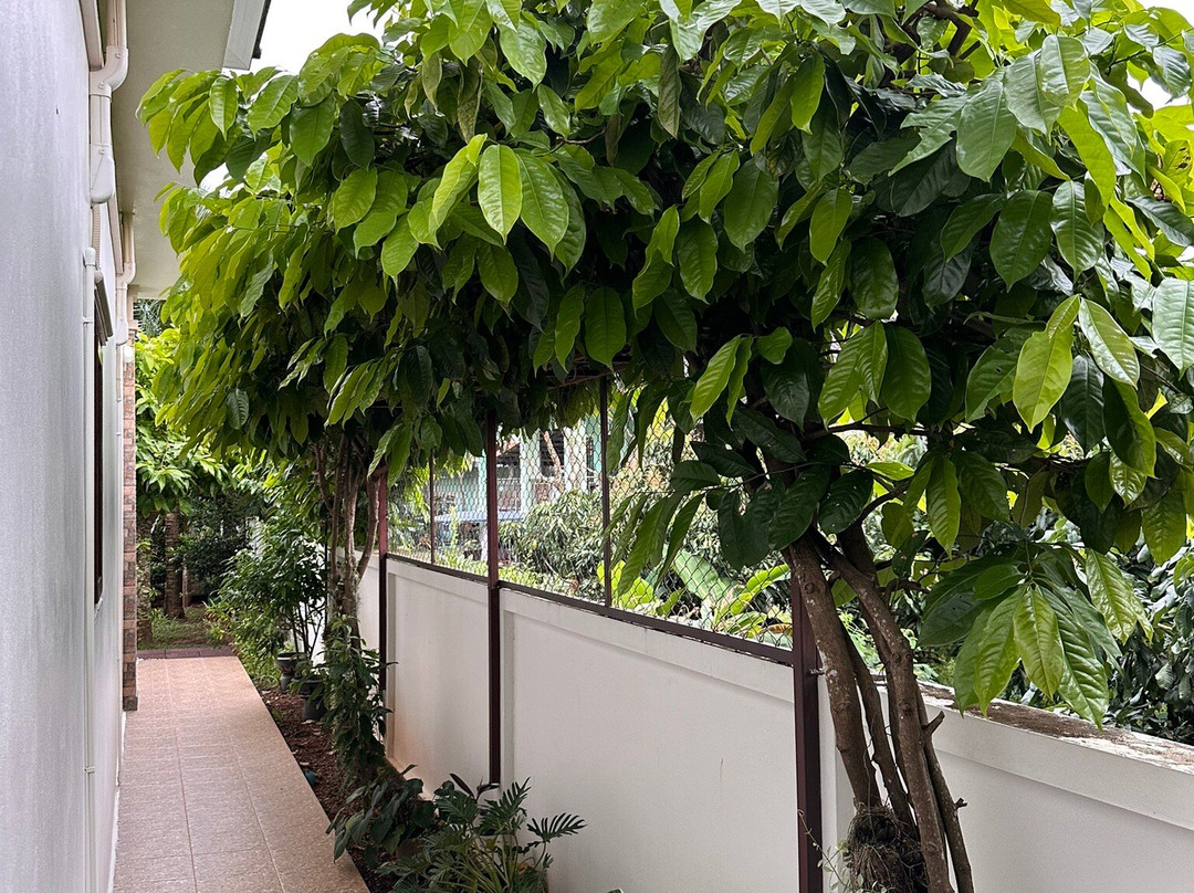Mak Daeng Villa