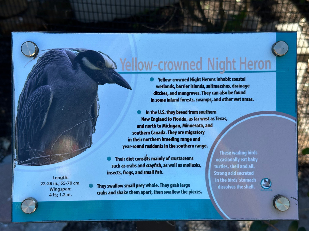 Save Our Seabirds-萨拉索塔必去景点