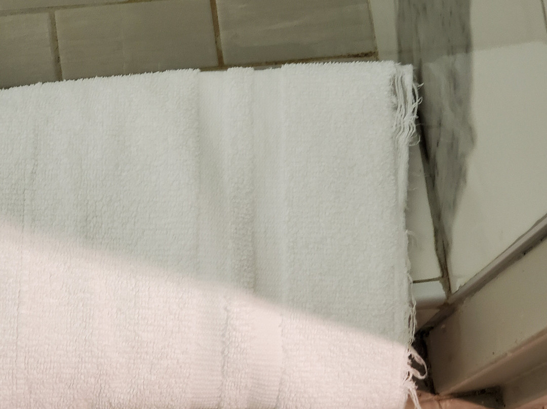 罗基加普赌场 & 度假村主图