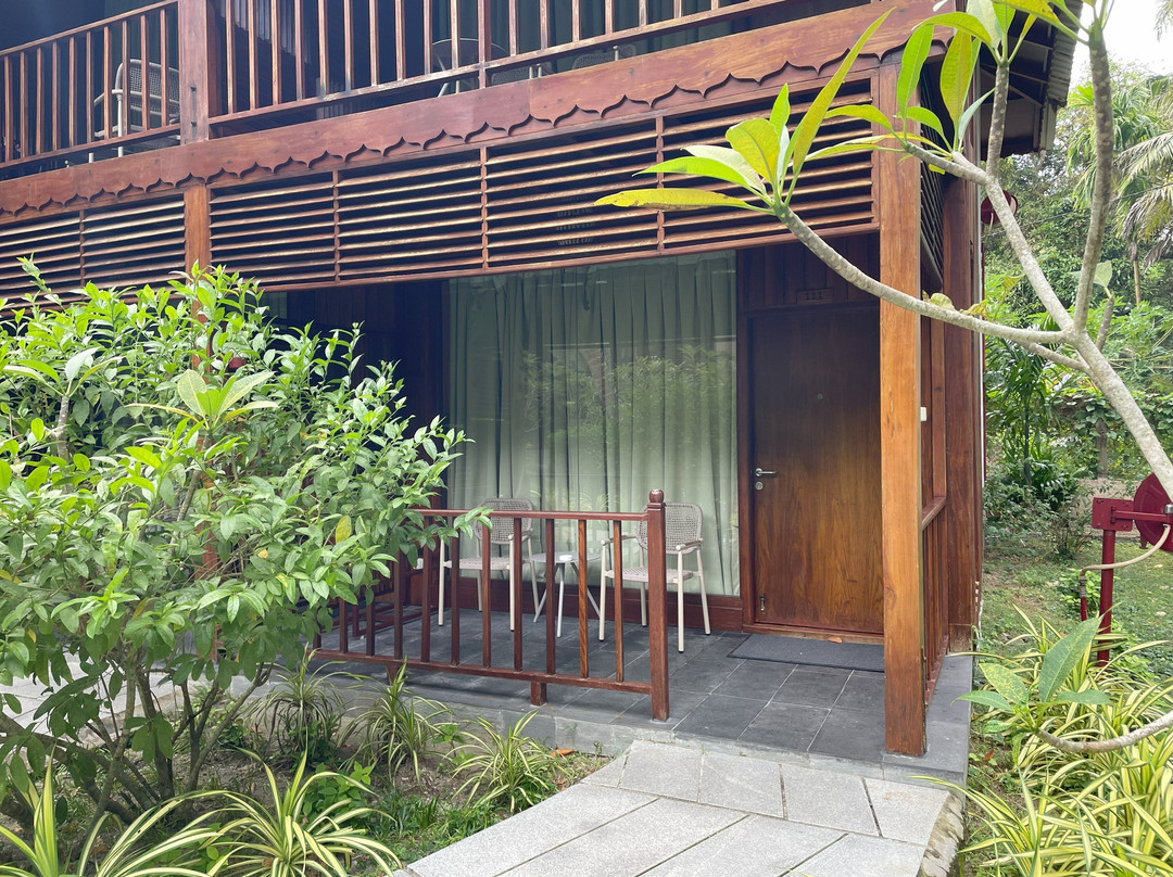 Sea Shell Neil主图