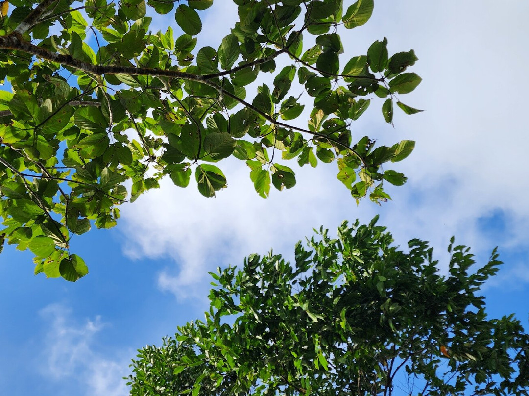 Mt. Manunggal-Balamban必去景点