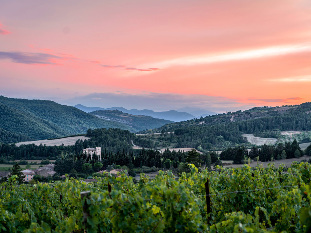 Vignoble Nicolas Therez-Serres必去景点