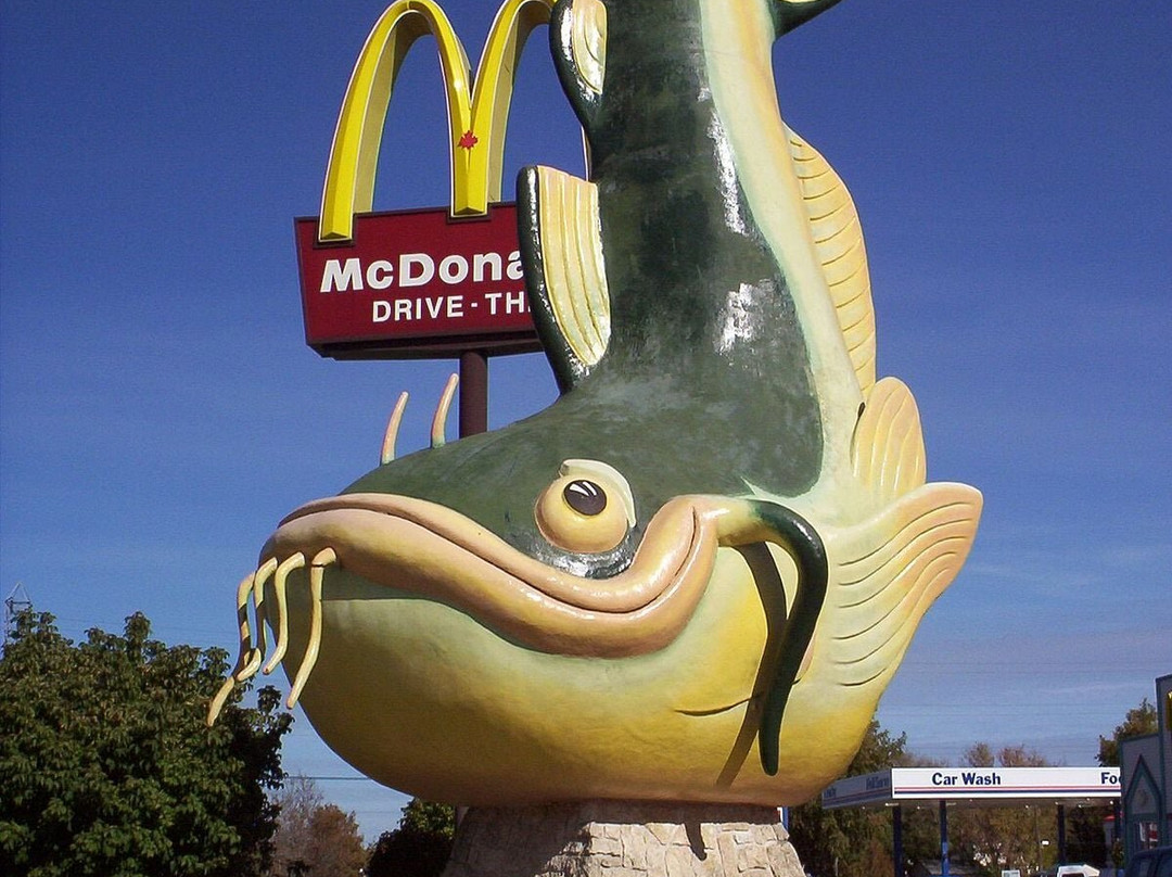 Chuck The Channel Catfish-Selkirk必去景点