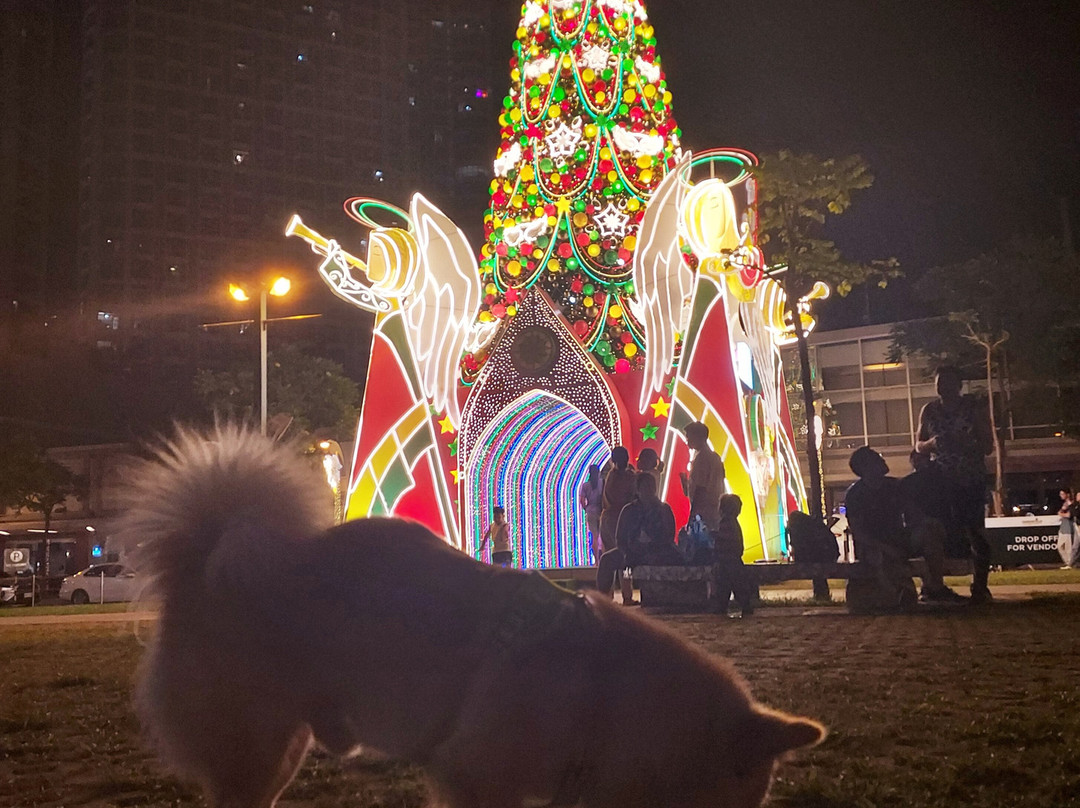 Greenfield Weekend Market-曼达鲁永必去景点