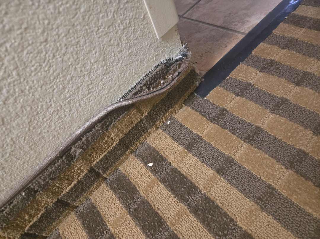 La Quinta Inn & Suites By Wyndham Columbus Grove City主图