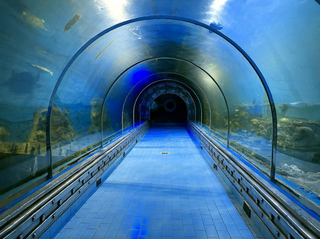 Hurghada Grand Aquarium-赫尔格达必去景点