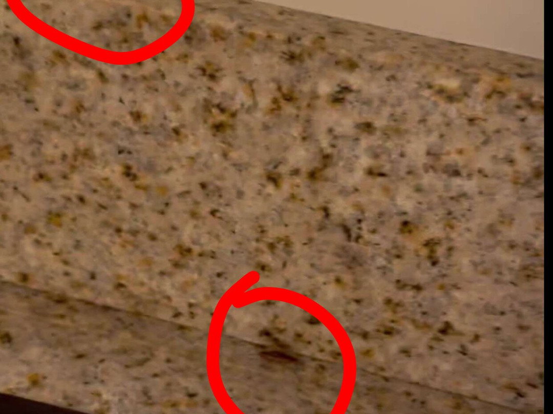 TownePlace Suites Albany Downtown/Medical Center主图