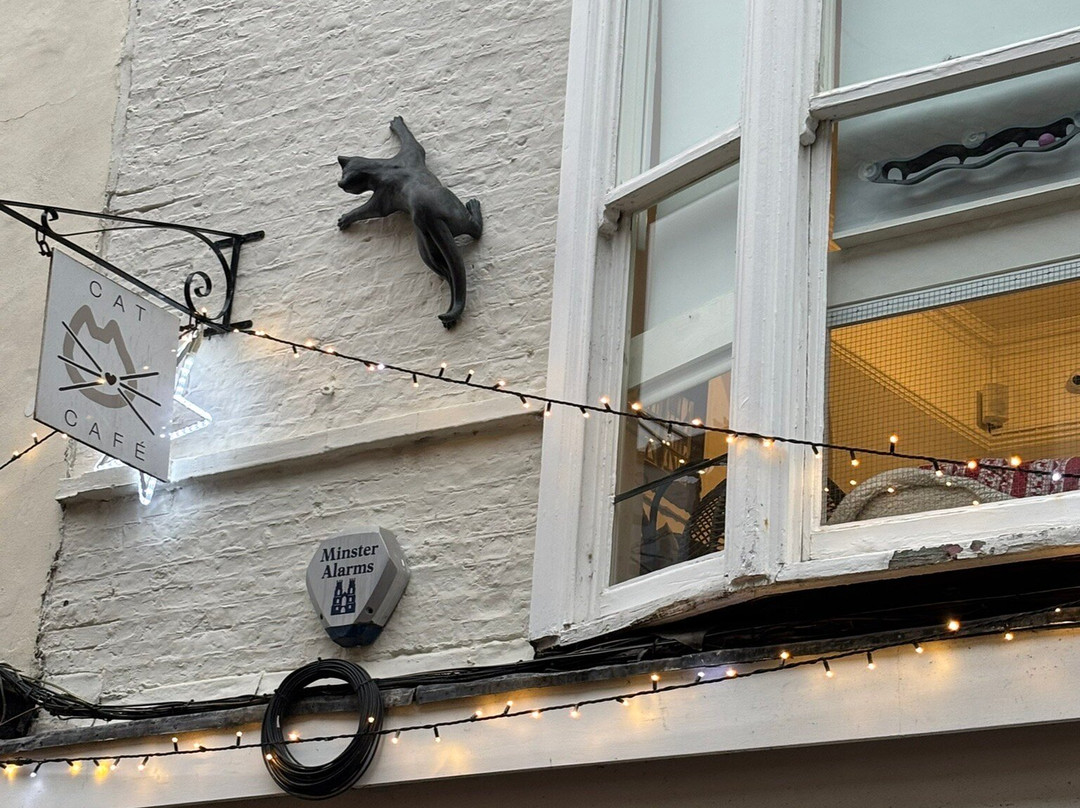 York Cat Trail-约克必去景点
