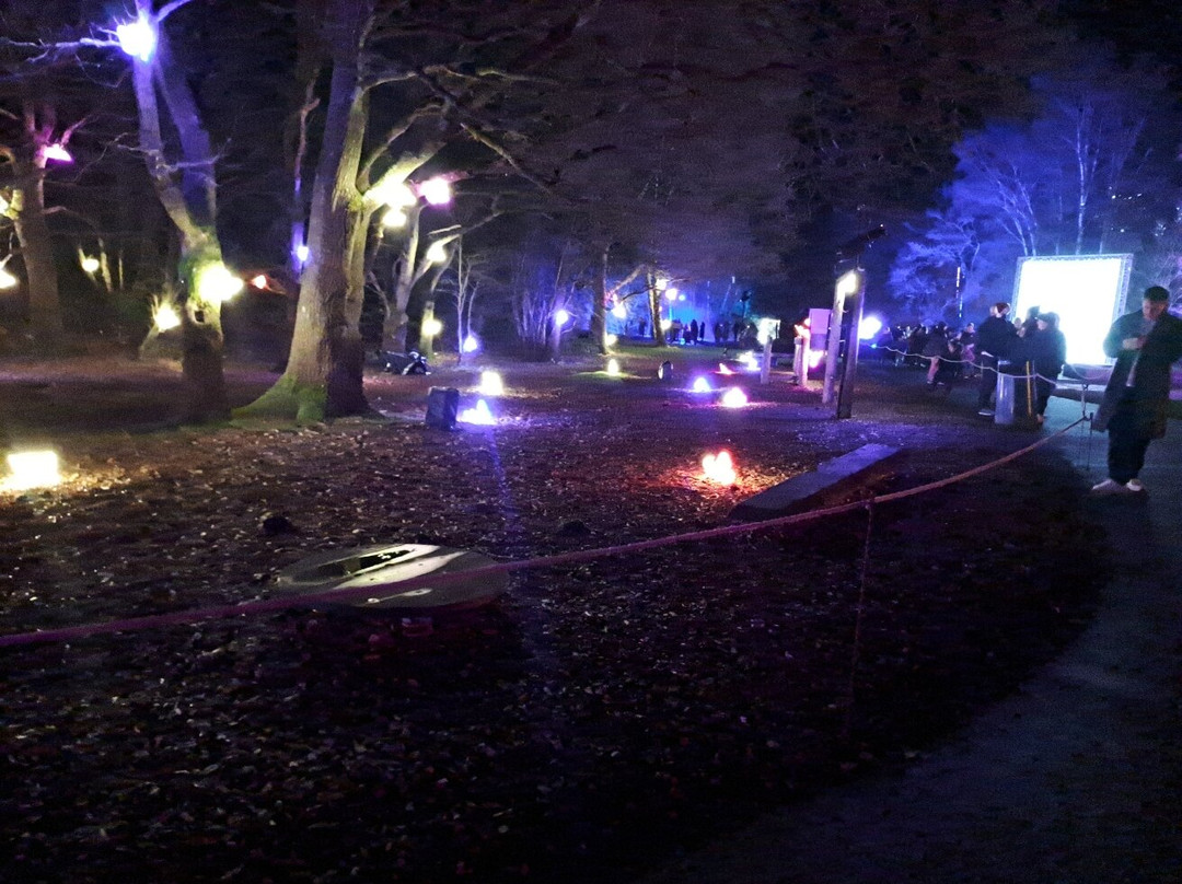 Wellington Country Park-雷丁必去景点