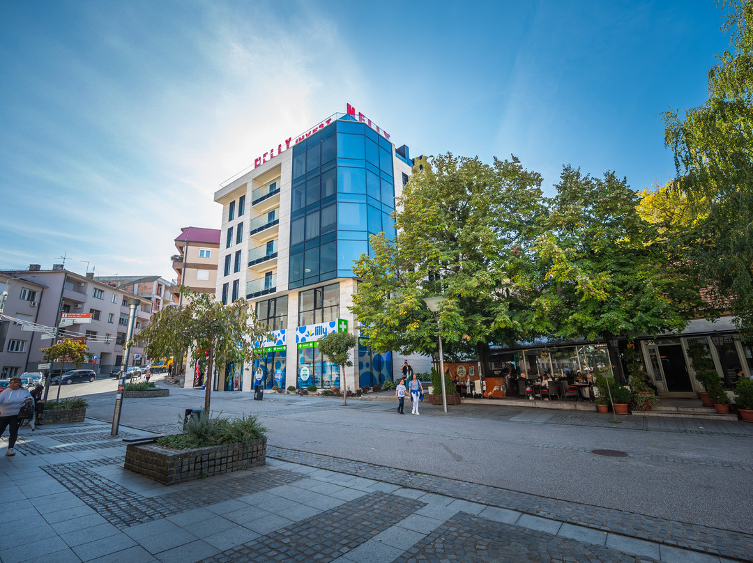 Monelly Apartments Loznica