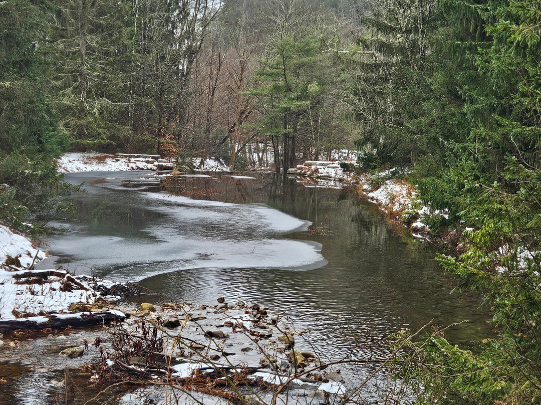 Hickory Run State Park景点图片