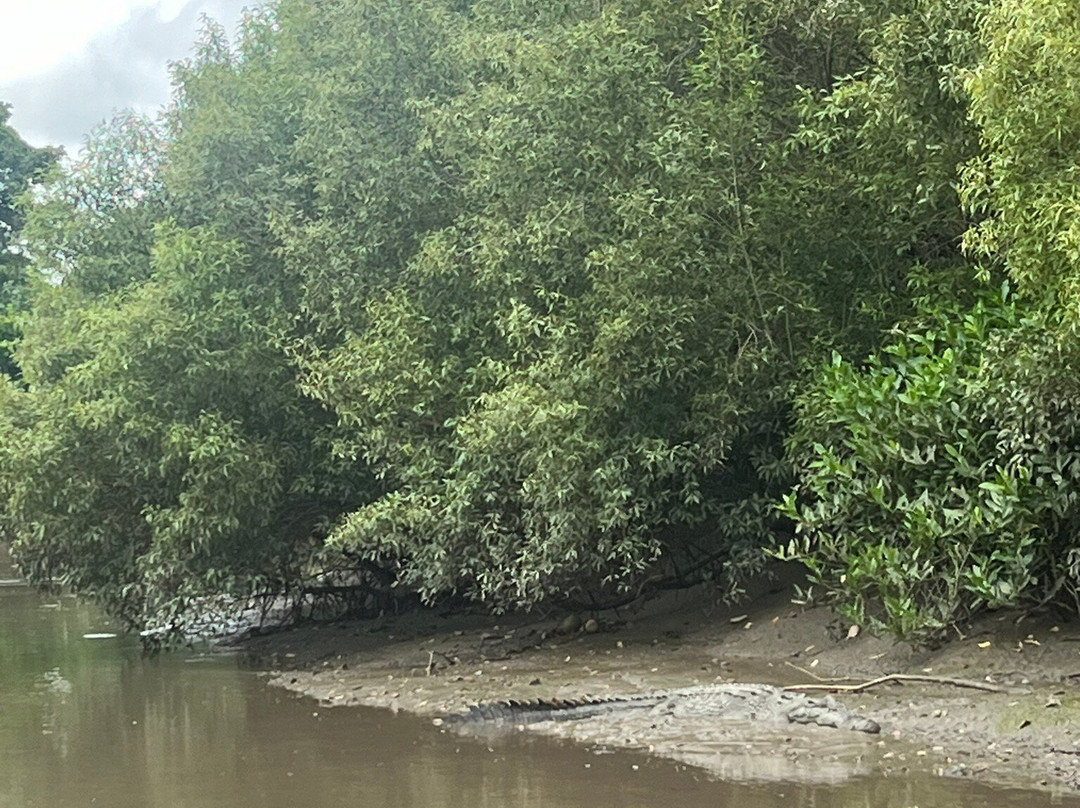 Crocodile Safari景点图片