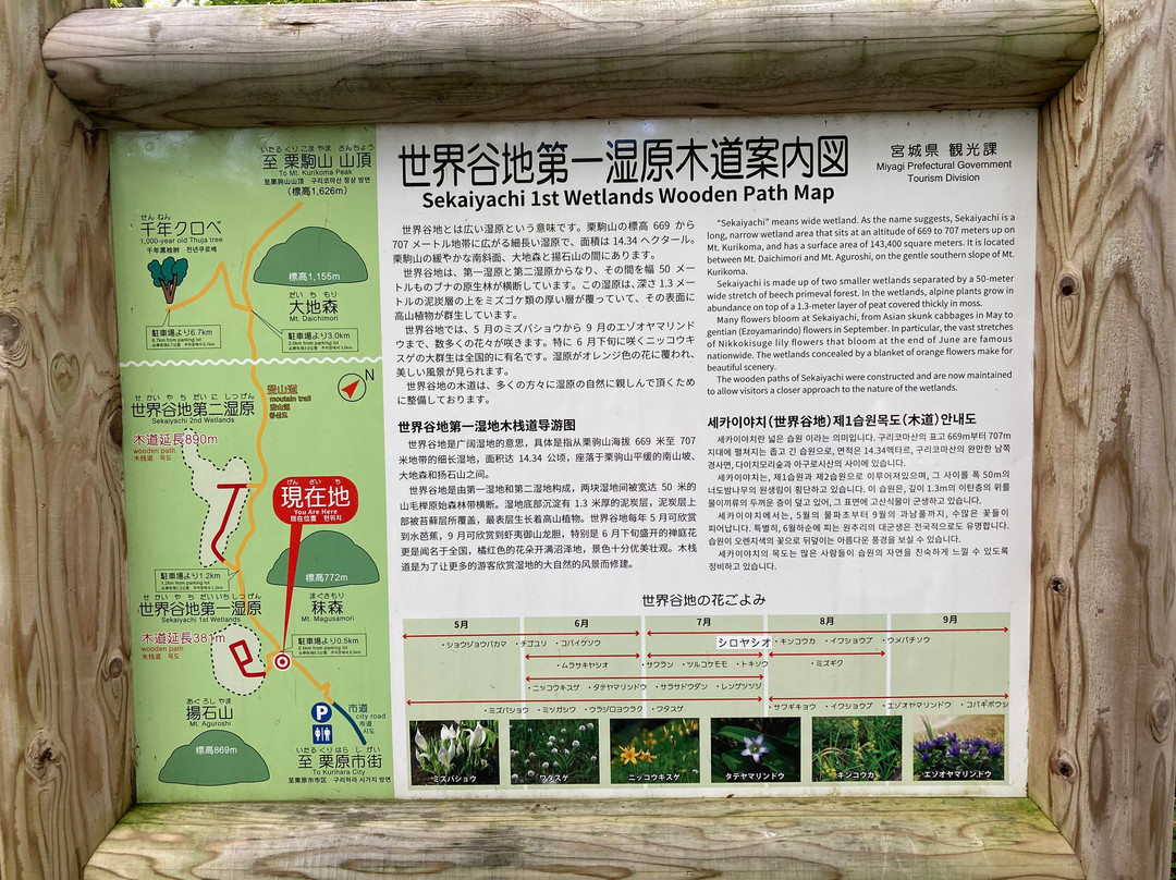 Sekaiyachi Native Flower Trail-栗原市必去景点