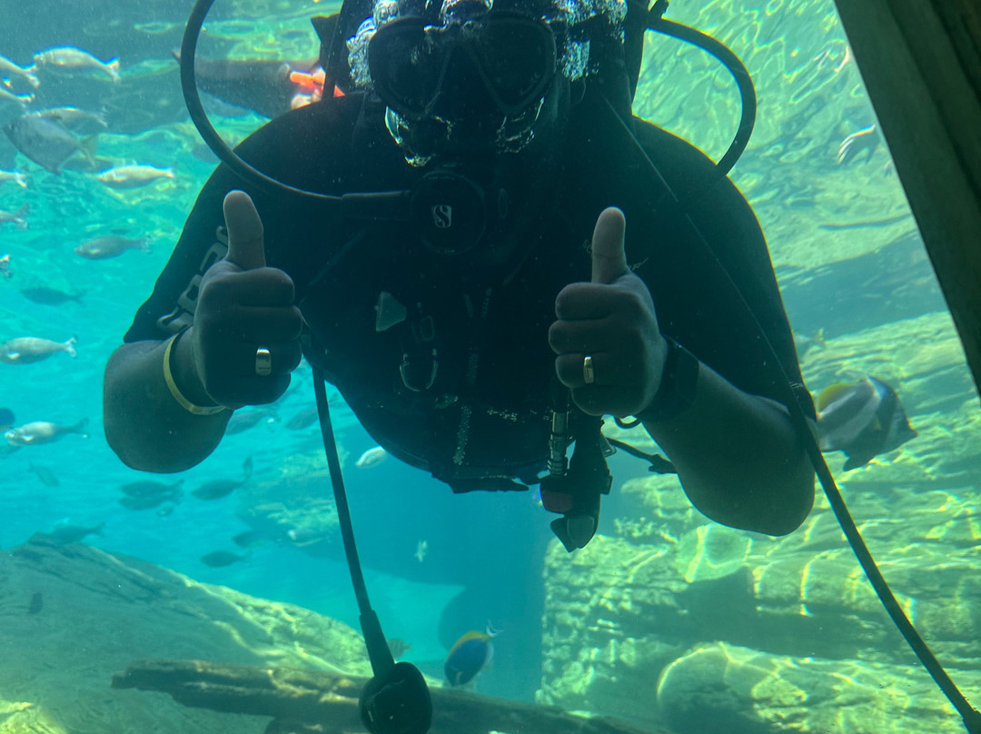 Umhlanga Scuba景点图片