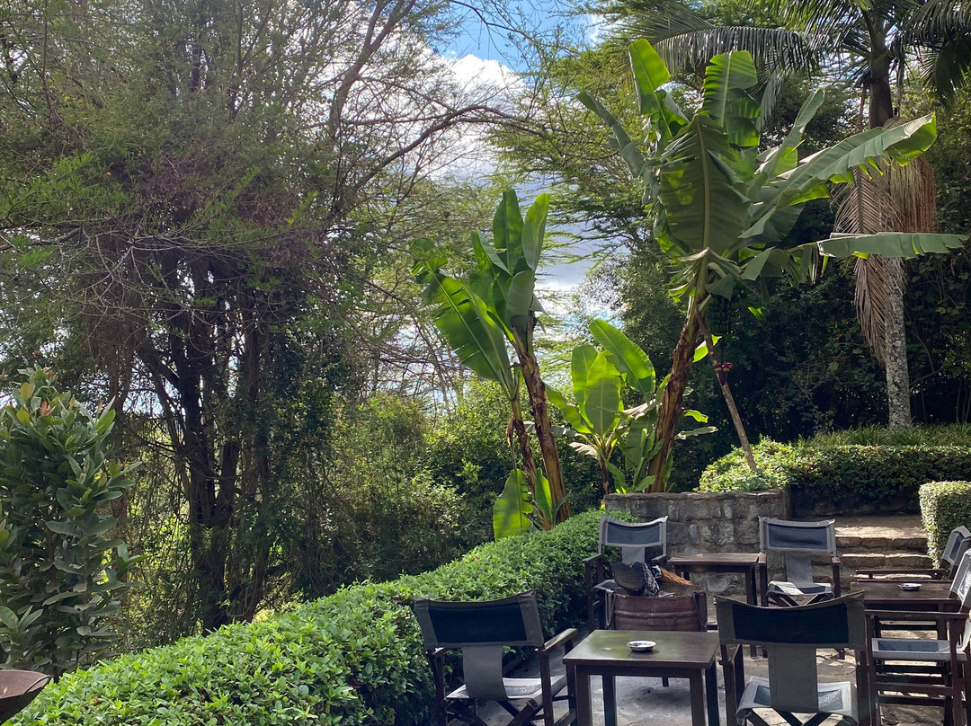 Calabash Adventures-阿鲁沙必去景点