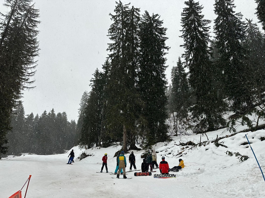 Gypsy Snowboarding-莫尔济讷必去景点