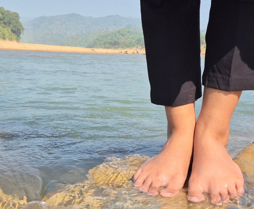 Nazimgarh Wilderness Resort主图