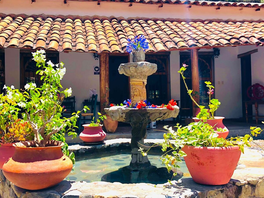 Hotel El Patio de Monterrey主图