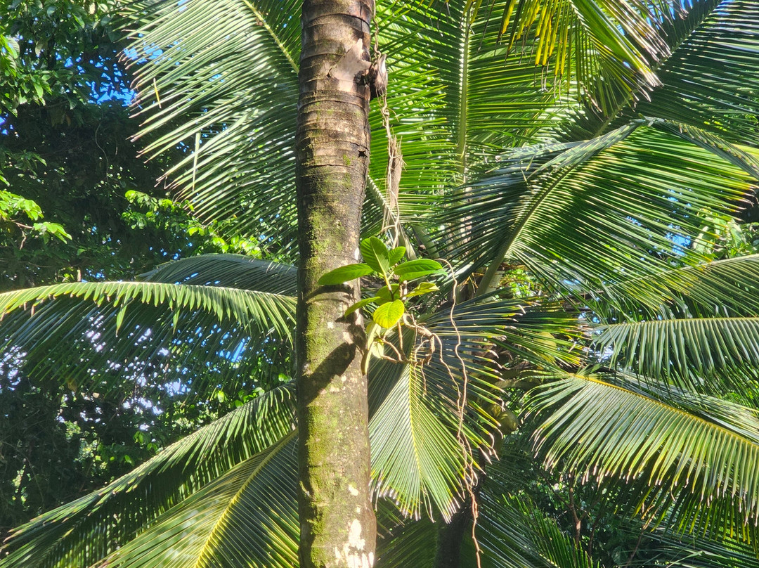 Chaudiere Pool-Bense必去景点