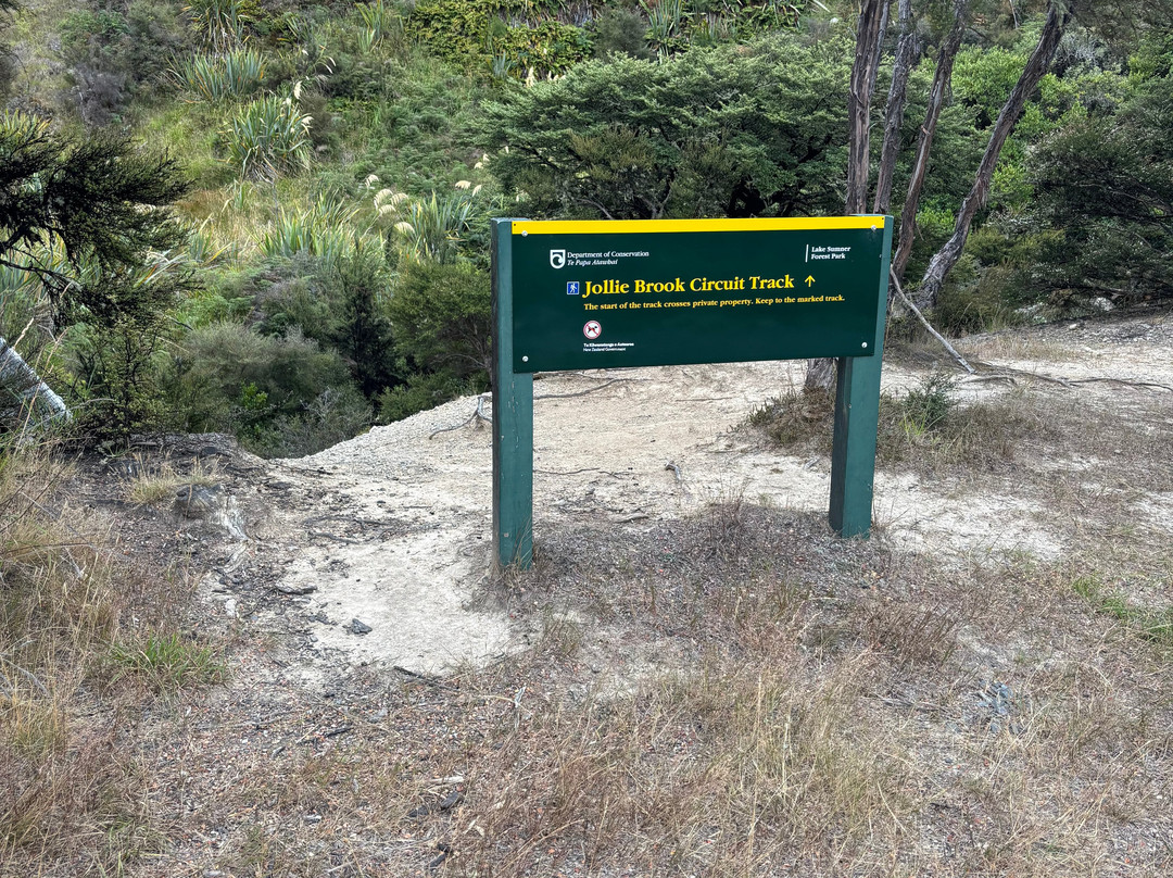 Lake Sumner Forest Park景点图片