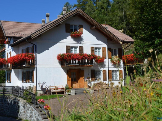 Vignola-Falesina酒店住宿-Villa Gioia