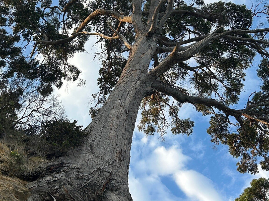 Pirates Bay Beach-伊格尔霍克内克必去景点