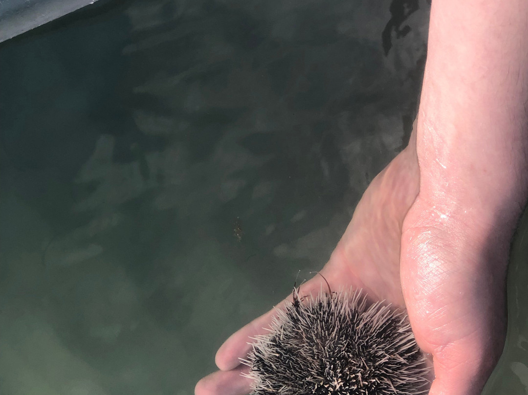 Get Up And Go Kayaking - Jupiter-朱庇特必去景点