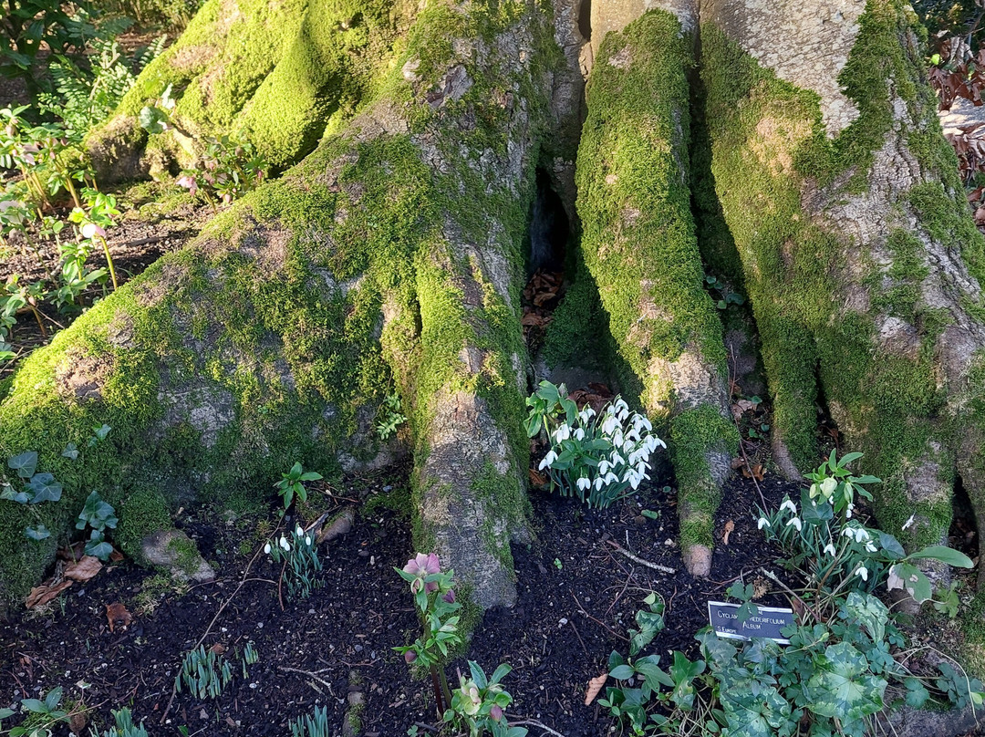 Altamont Gardens-Tullow必去景点