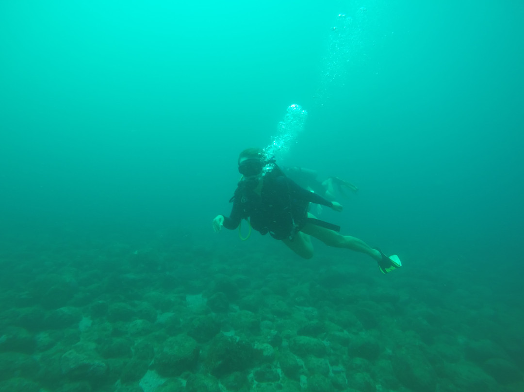 Paradise Dive Mirissa景点图片