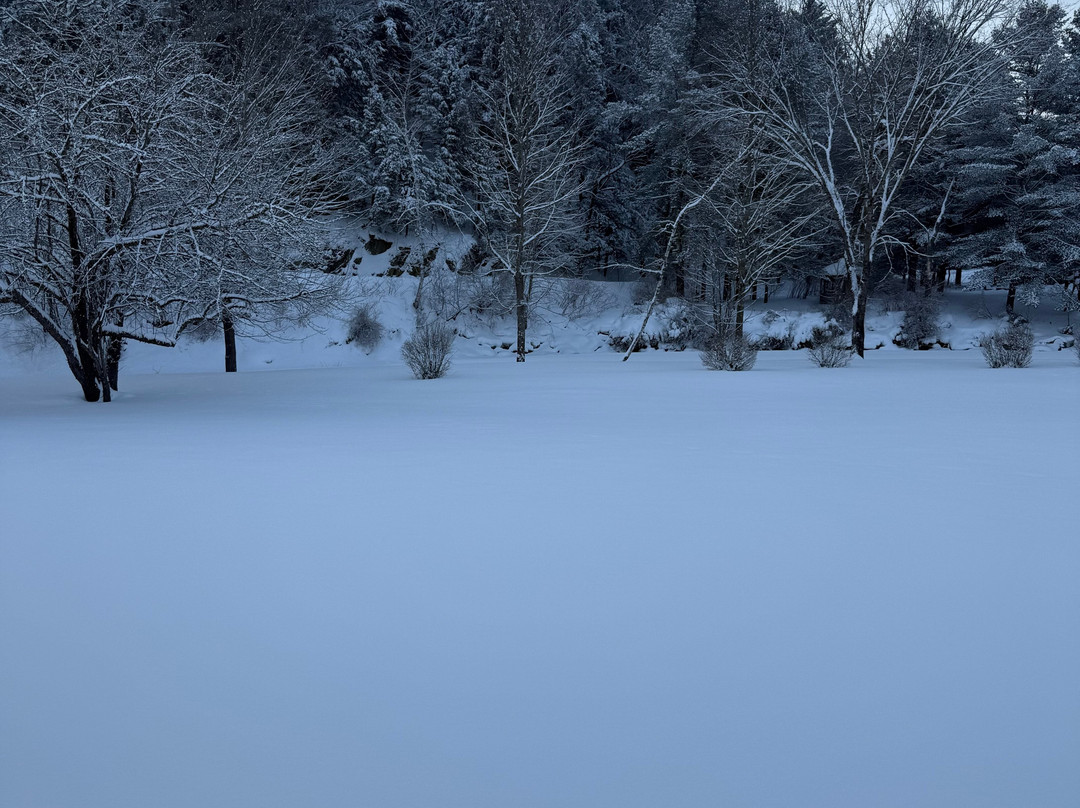 Sun & Ski Inn And Suites主图