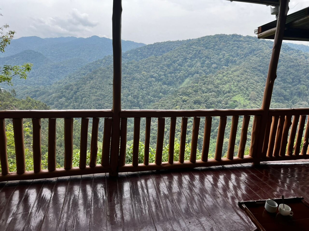 Cream Tours & Safaris-Mbarara必去景点