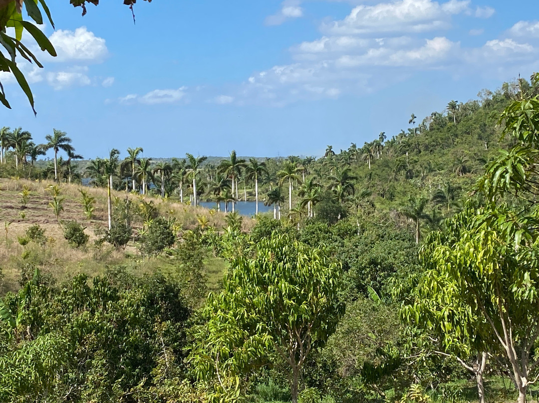 Finca Tungasuk-Caimito必去景点